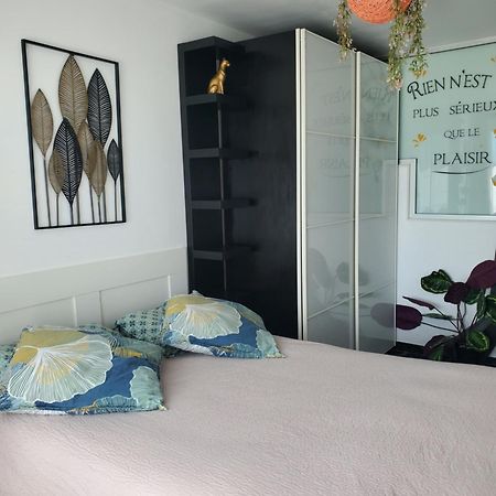 Appartement Cosy Entierement Equipe Tuluza Zewnętrze zdjęcie