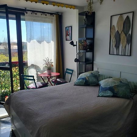 Appartement Cosy Entierement Equipe Tuluza Zewnętrze zdjęcie