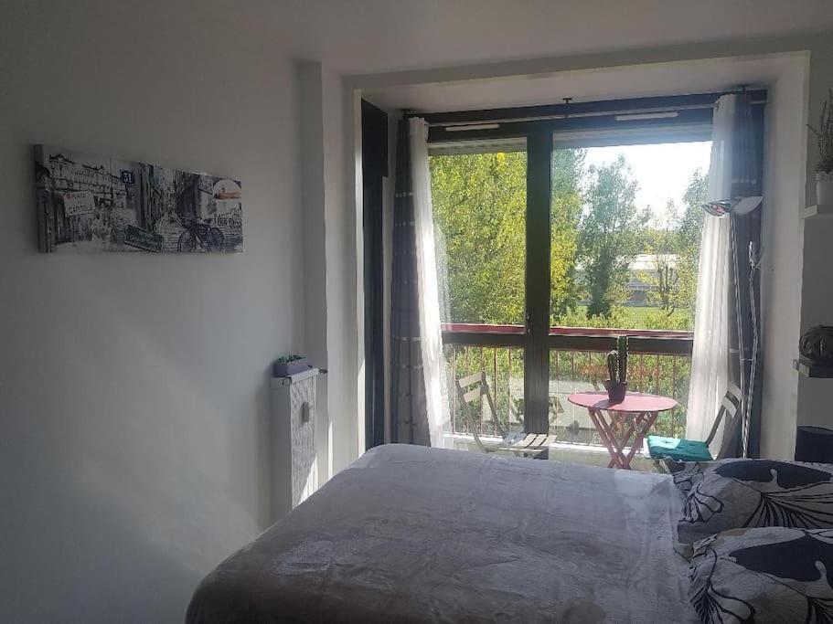 Appartement Cosy Entierement Equipe Tuluza Zewnętrze zdjęcie