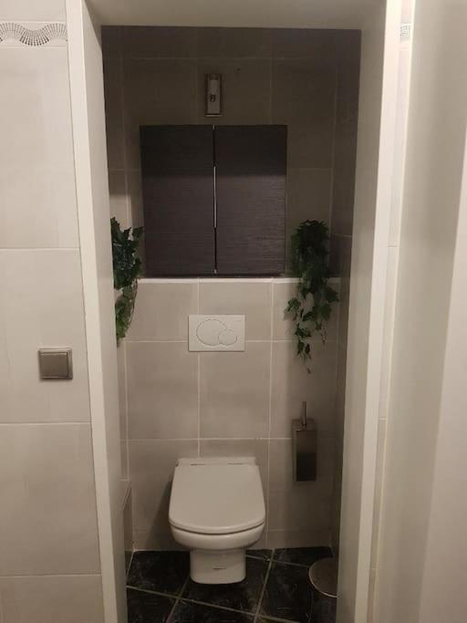 Appartement Cosy Entierement Equipe Tuluza Zewnętrze zdjęcie